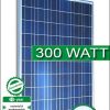 ReneSola Virtus II 300 Watt Poly Solar Panel