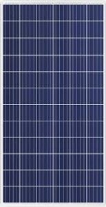 Trina Solar 300 watt