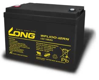 Long 12V 100AH WPL100 Battery