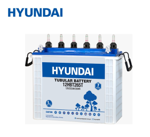 Hyundai-Tubular-battery